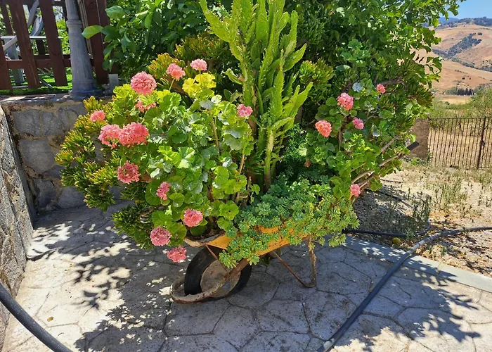 La Casita Encantada *